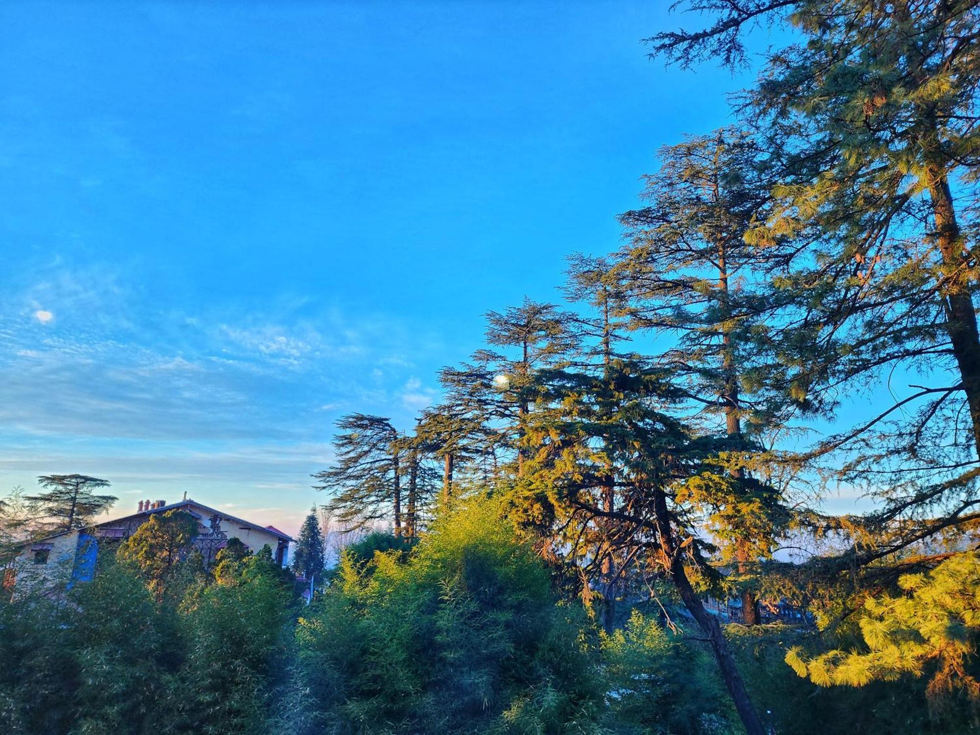 Hotel Pineview Shimla Eksteriør bilde