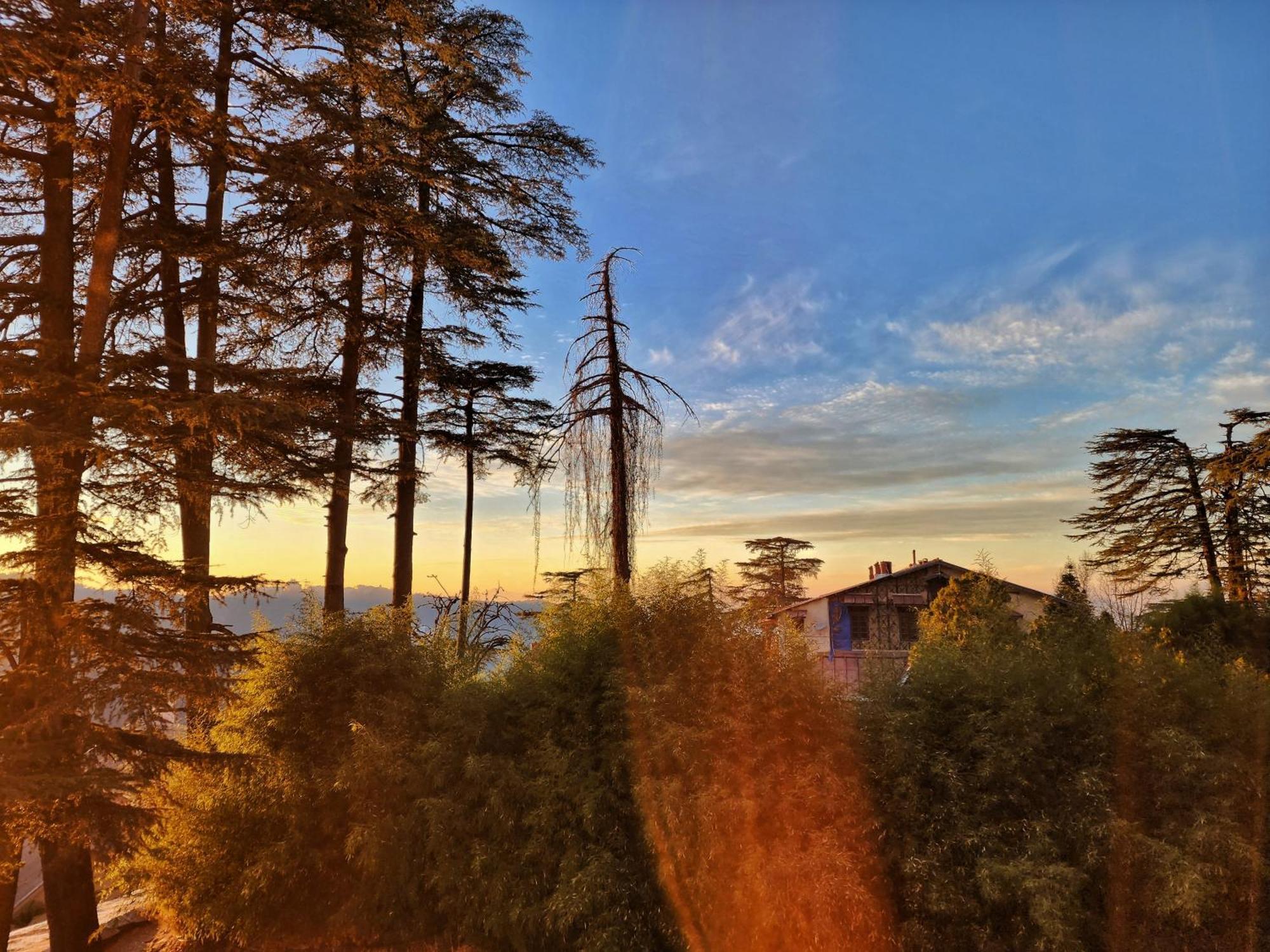 Hotel Pineview Shimla Eksteriør bilde