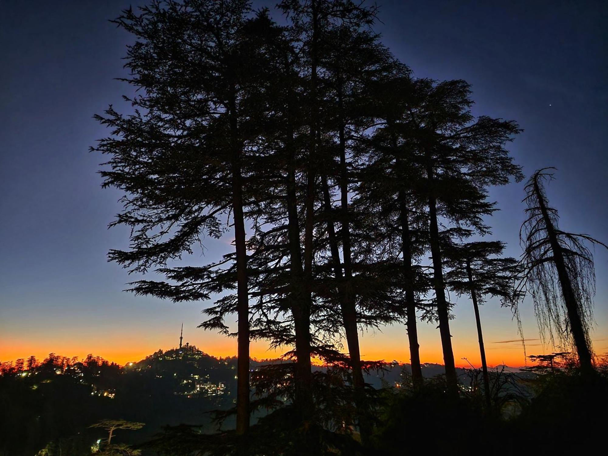 Hotel Pineview Shimla Eksteriør bilde