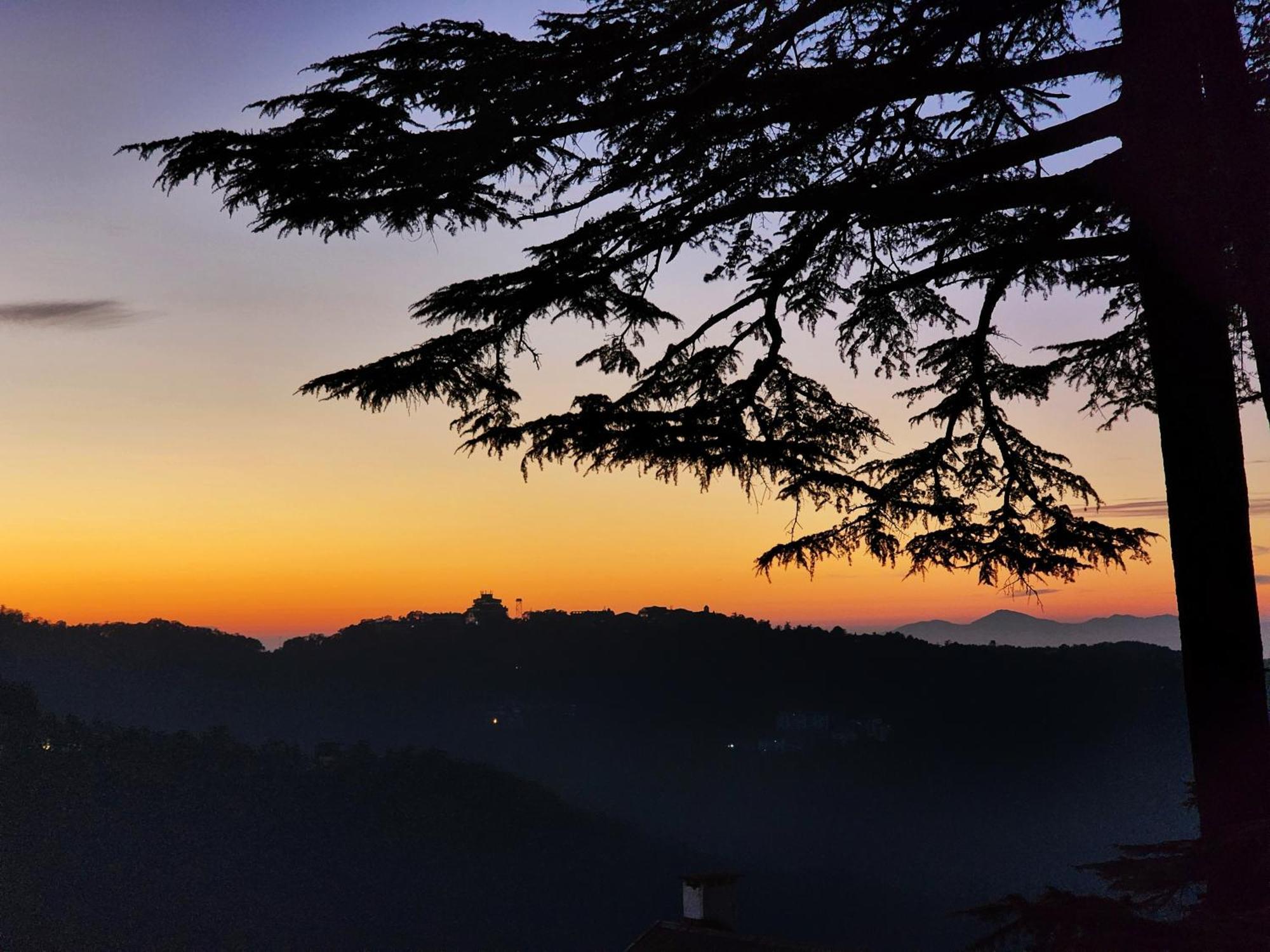 Hotel Pineview Shimla Eksteriør bilde